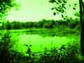 Kr�sy pr�rodnej rezerv�cie