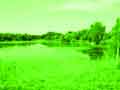 Kr�sy pr�rodnej rezerv�cie