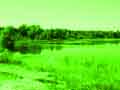 Kr�sy pr�rodnej rezerv�cie